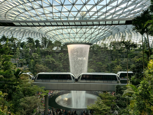 Dream Of Riding The Train & Bus Into A Garden